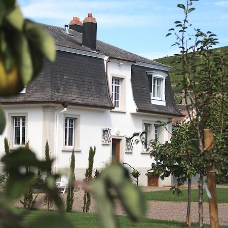 Les Charmes De La Vallee Noble Soultzmatt Esterno foto