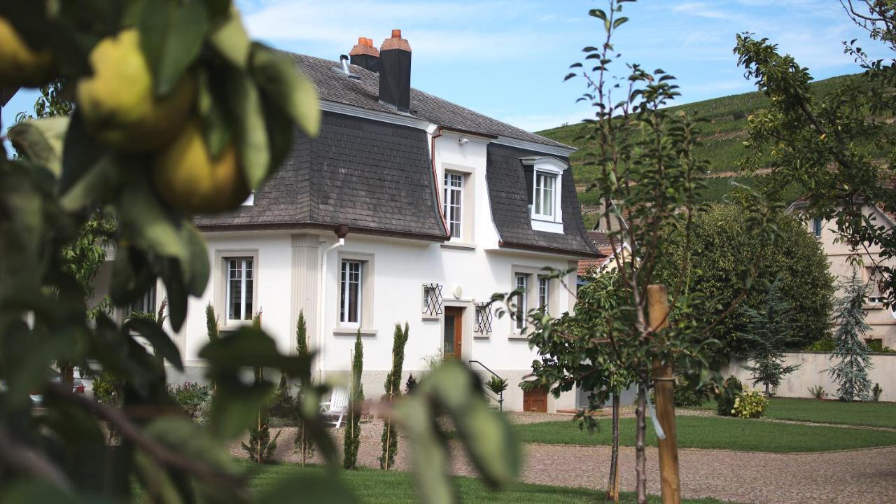 Les Charmes De La Vallee Noble Soultzmatt Esterno foto